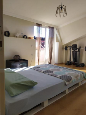 only rooms in a big comfort house